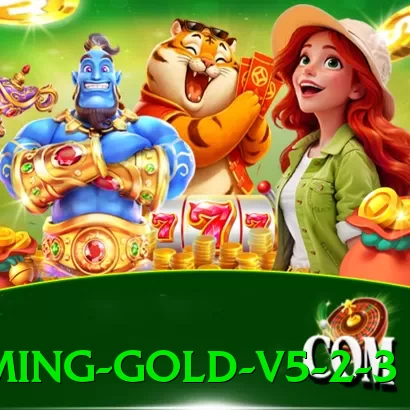 20pmbet Gaming Gold v5.2.3 - vip